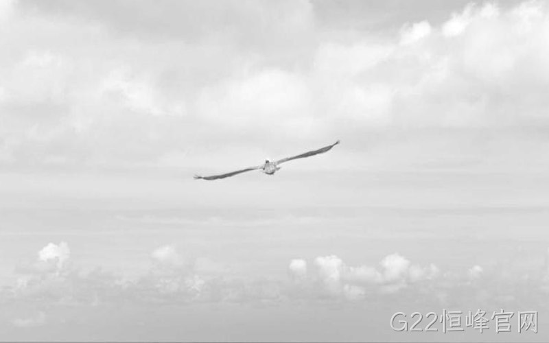 光伏储能提效降本呼唤SiC,G22恒峰官网解读第三代半导体的价值
